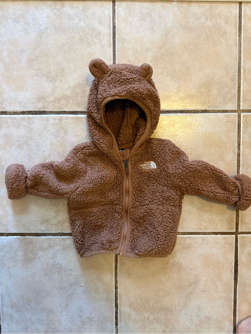 The North Face Brown Teddy Fleece Hoodie with Bear Ears